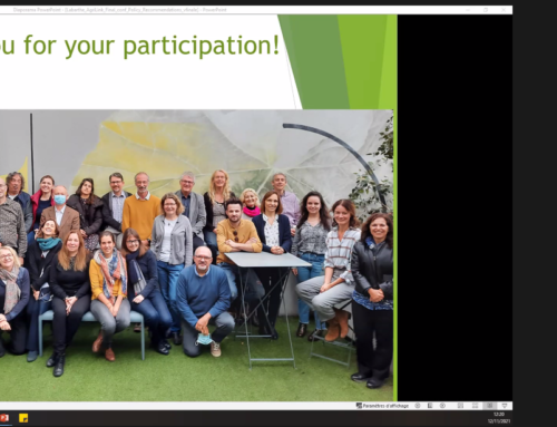 i2connect reflections from the AGRILINK final conference