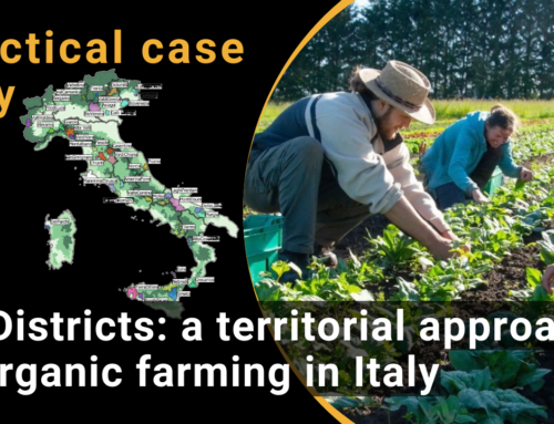 BioDistricts: a territorial approach to organic farming in Italy