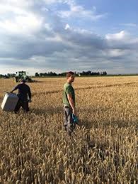 agricultores & Líder de proyecto de corte de muestras de plantas.