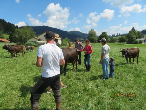 Learning from each other. Field day here on KugelSüdhangHof. 