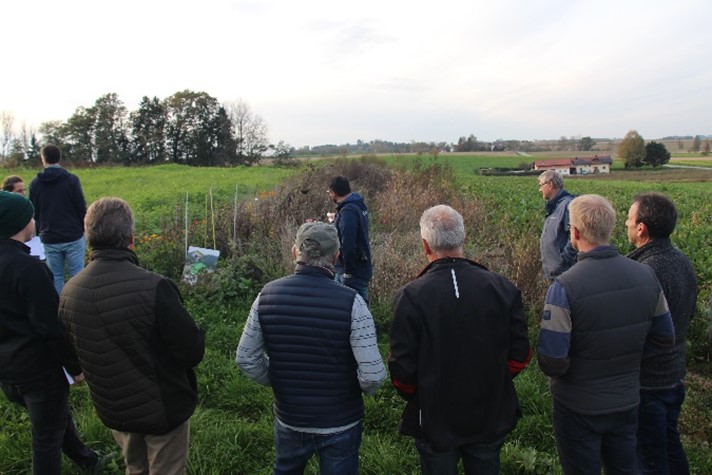 Gli agricoltori e i coordinatori del progetto stanno valutando lo stato di avanzamento del progetto