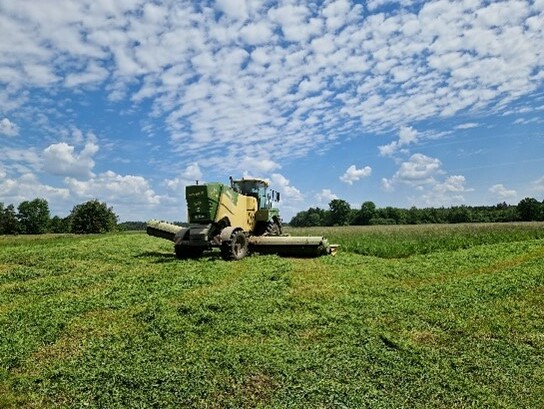 Shows the grass being lawn by a mower.